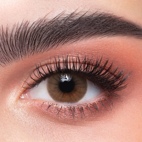 Dahab One Day Lenses Creamy