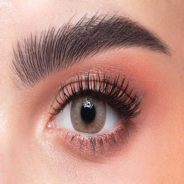 Dahab One Day Lenses Lumirere brown