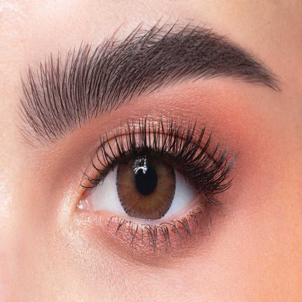 Dahab One Day Lenses ARGAN