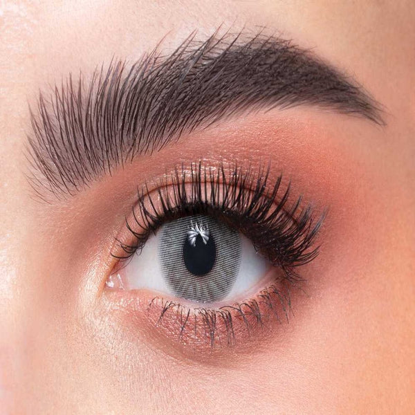 Dahab One Day Lenses Ice